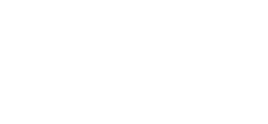Career Explore International logo